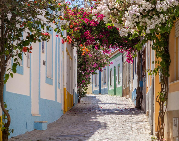 bom-dia-algarve-passeio-lagoa